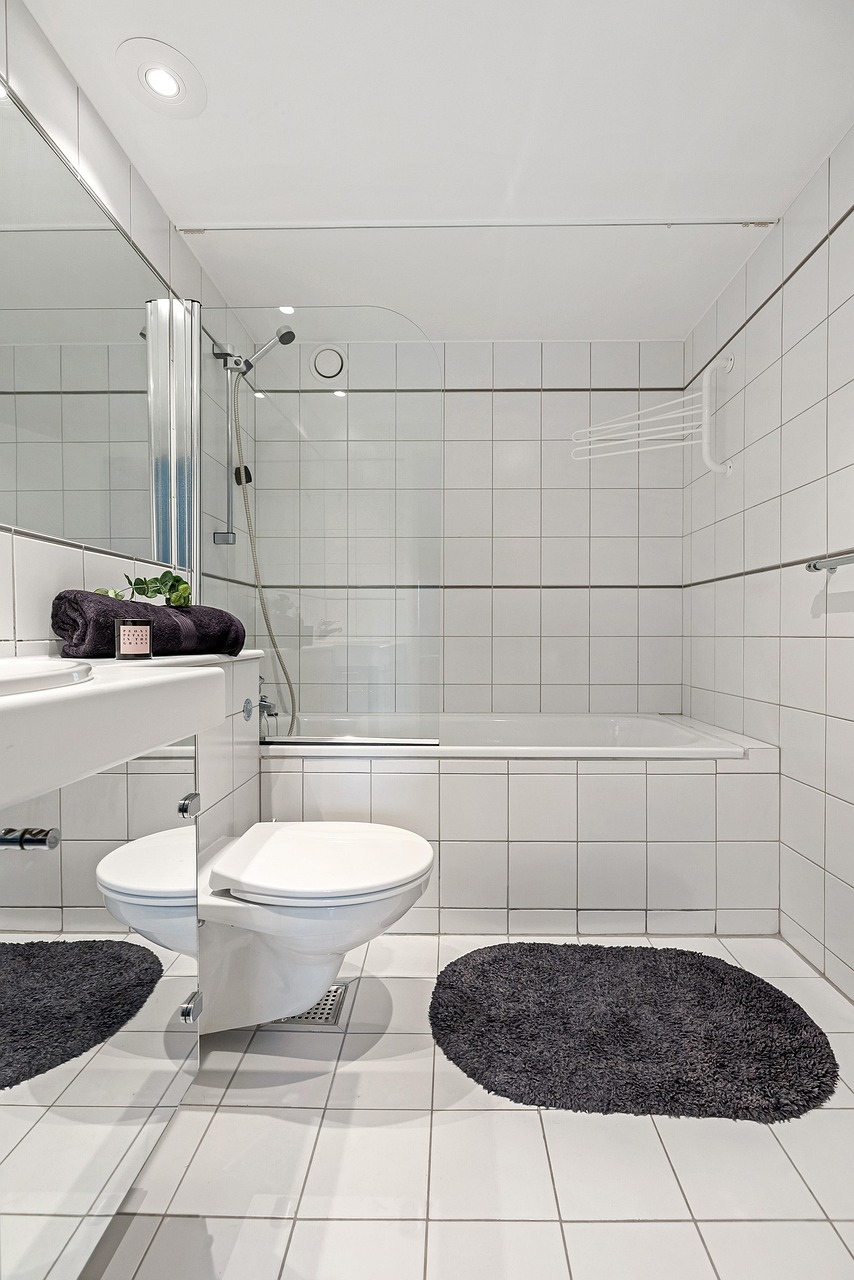 bathroom, interior design, toilet, real estate, modern, bathroom, bathroom, bathroom, bathroom, bathroom